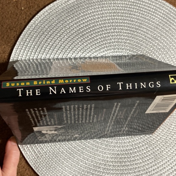 THE NAME OF THINGS  - A PASSAGE IN THE INDIAN DESERT by SUSAN BRIND MORROW - Picture 2 of 5